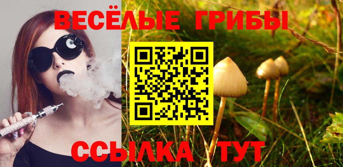Галлюциногенные грибы мухоморы Артёмовский
